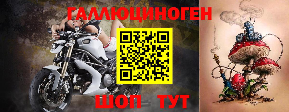 Галлюциногенные грибы мицелий Осинники